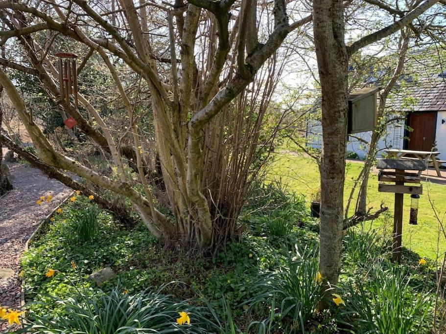 Cosy & Rustic Retreat - Woodland Cottage. Nairn Kültér fotó