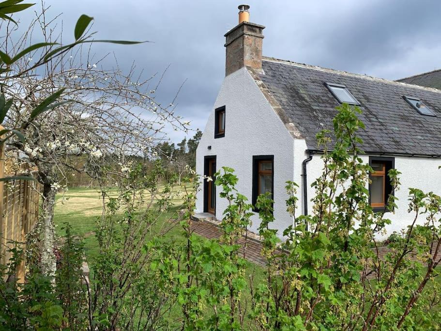 Cosy & Rustic Retreat - Woodland Cottage. Nairn Kültér fotó